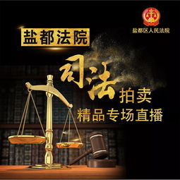 鹽都法院5.20司法拍賣精品等您帶走，法規(guī)解讀與操作指南